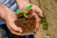 Plano Safra da Agricultura familiar será de R$ 76 bilhões