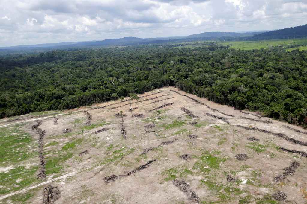 Desmatamento, Amazônia