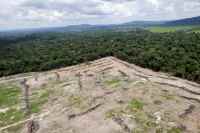 Desmatamento na Amazônia cresce 56,6% nos últimos três anos, segundo Ipam