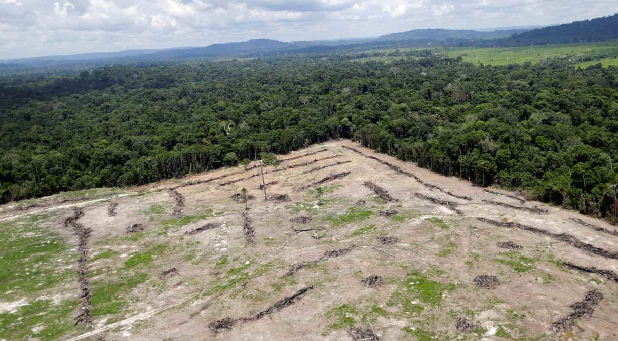 Área desmatada na região amazônica do estado do Pará