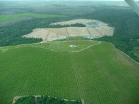 Mesmo antes do fim, fevereiro de 2023 tem recorde de desmatamento na Amazônia Legal