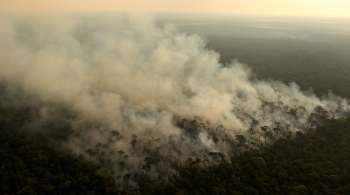 Governo avalia que, historicamente, maior incidência de queimas florestais ocorre entre agosto e outubro. Medida é tomada após críticas à gestão ambiental 