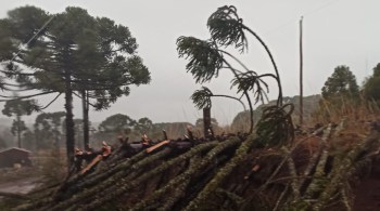 Ondas podem chegar a quatro metros de altura nas praias