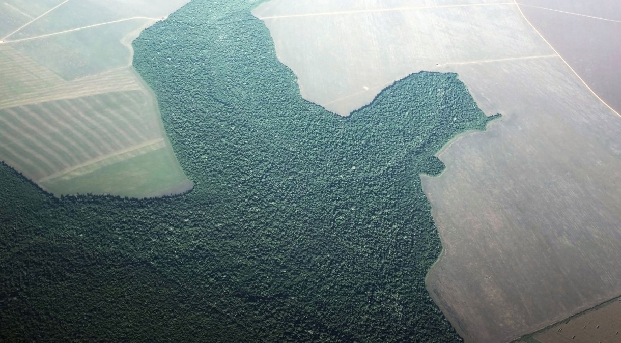 Vista aérea de zona com atividade agrícola em Alta Floresta, no Pará