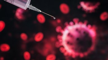 A Pfizer e a BioNTech esperam, assumindo que haja sucesso clínico da vacina, buscar uma análise regulatória já em outubro deste ano