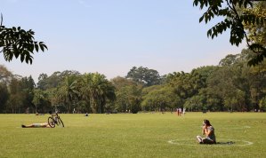 Ibirapuera: dois em cada dez paulistanos frequentam parque uma vez por mês