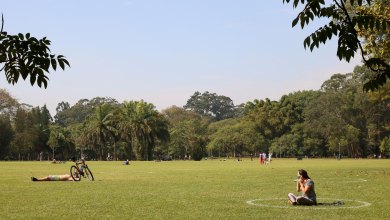 Ibirapuera: dois em cada dez paulistanos frequentam parque uma vez por mês