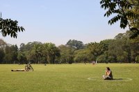 Barulho de shows no Parque Ibirapuera incomoda vizinhos e vai para Justiça em SP