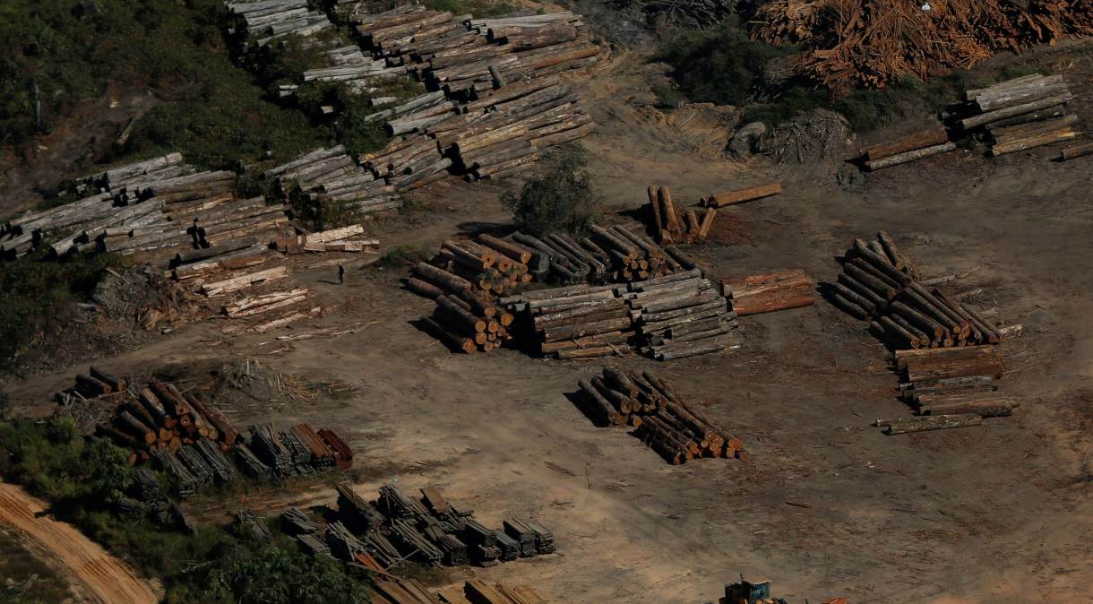 Área de extração de madeira na região de Apuí (AM)