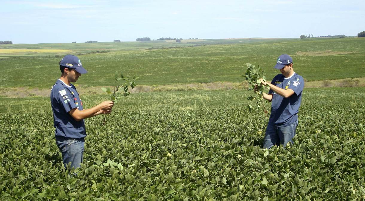 Dois primeiros trimestres são fortes devido à chegada das safras de soja, milho verão, açúcar e café