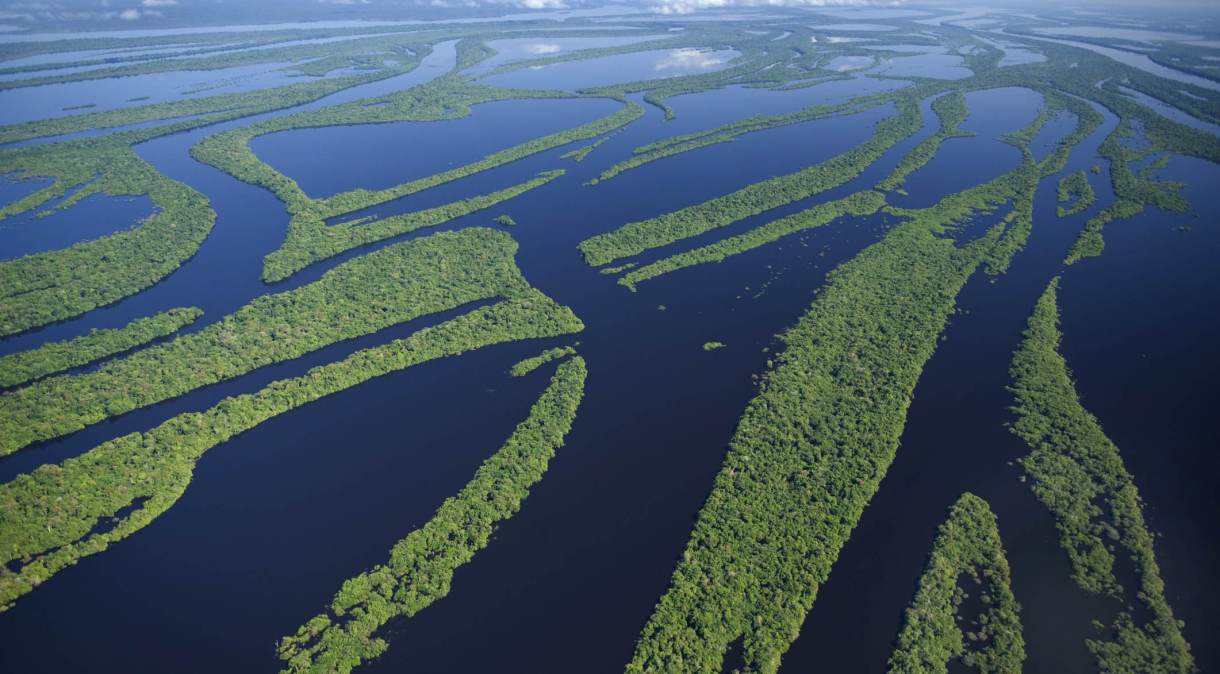 A Amazônia abriga a maior bacia hidrográfica do mundo, a Bacia Amazônica, que detém 20% da água doce do planeta