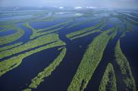 Maiores doadores do Fundo Amazônia, Noruega e Alemanha estarão na Cúpula em Belém