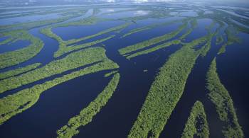 À CNN Rádio, o professor Henrique Barbosa explicou que a pesquisa tratou a área como uma “rede complexa” para mapear efeito do desmatamento e das mudanças climáticas