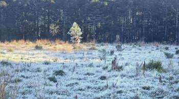 Estael Sias diz que a neve deve aparecer entre o final da noite de segunda-feira (28) e o começo de terça-feira (29)