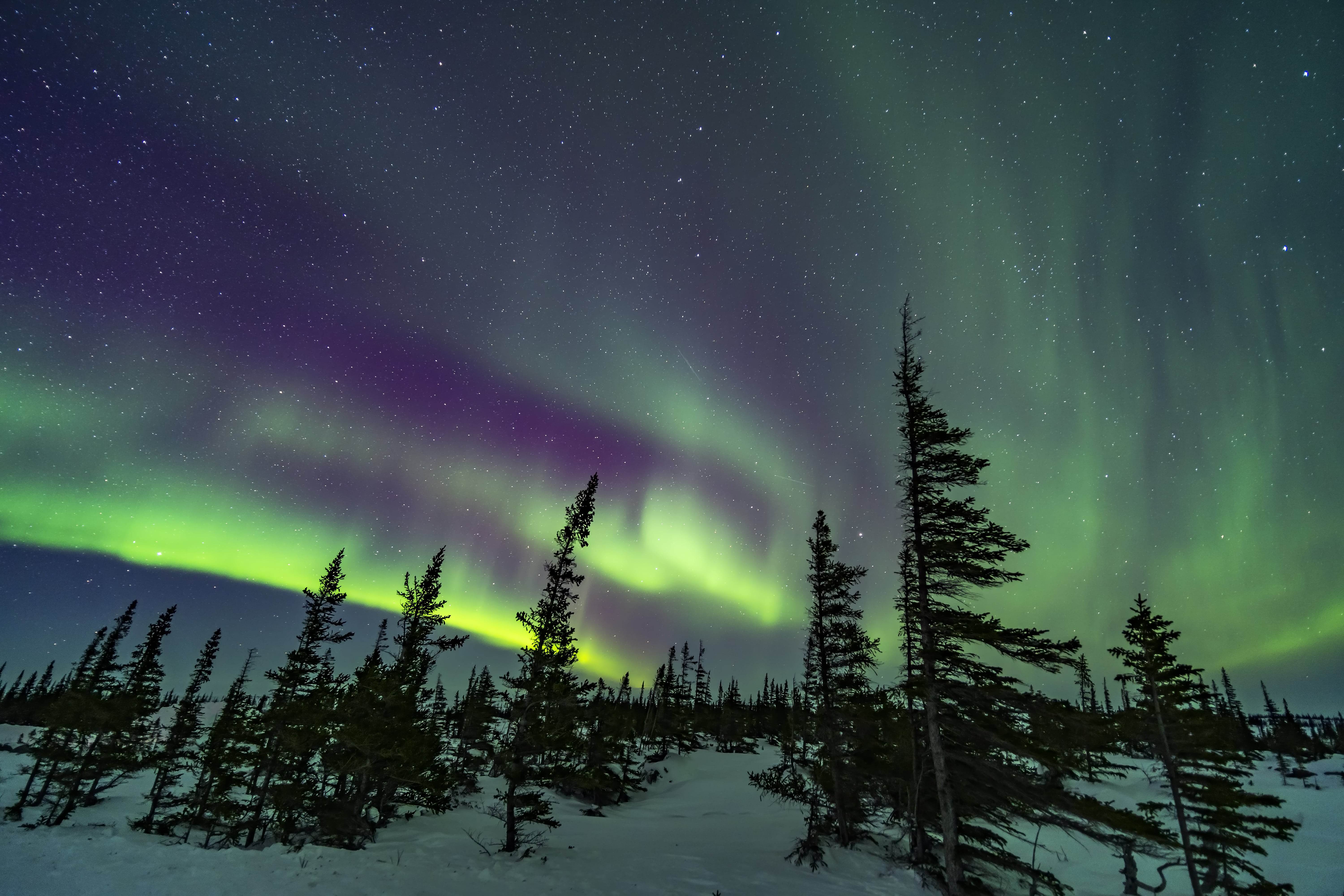 Aurora boreal vista no Canadá