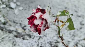 O Vale do Cruzeiro amanheceu coberto de neve nesta quarta-feira (30); temperaturas na região chegaram -2ºC