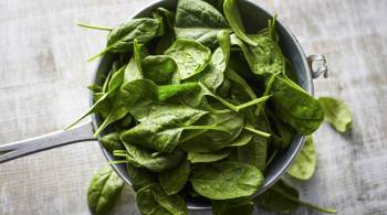 Entenda quais são os benefícios do espinafre para saúde e como é possível obtê-los pelo consumo do vegetal