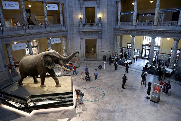 Museu Nacional de História Natural Smithsonian, em Washington 