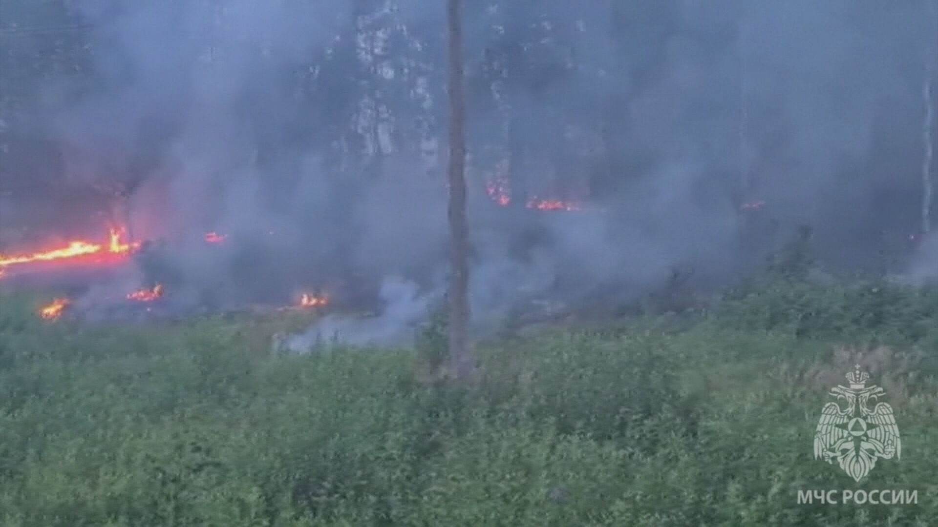 Aumento de temperatura acima do normal provou mais de 400 incêndios florestais
