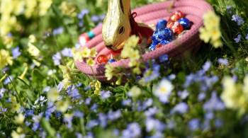 A Lindt & Spruengli disse que não pretende forçar outro fabricante de coelhinhos de chocolate a sair do mercado