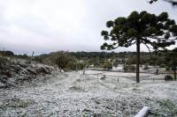 O que esperar do preço dos alimentos com onda de frio que causa geadas