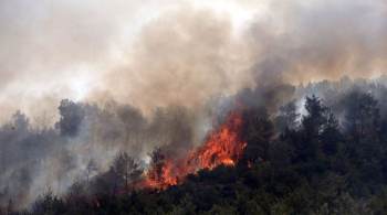 Grécia e Itália também sofrem com incêndios florestais neste domingo (1º)