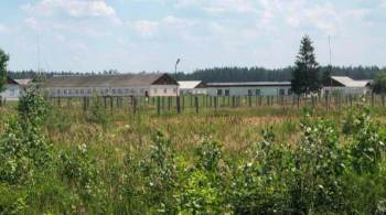 Ativistas filmaram suposto campo de detenção em cidade de Novokolosovo, que não demonstra sinais de ter abrigado prisioneiros