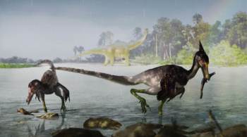 O dinossauro, nomeado de Ypupiara lopai, é uma nova espécie de dromaeosaurídeo encontrada pela primeira vez no Brasil