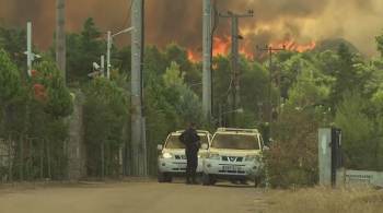 Grécia enfrenta pior onda de calor em 30 anos 