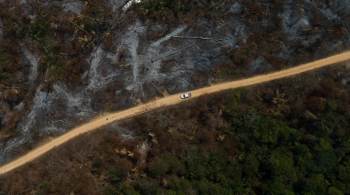 Relatório do IPCC alerta para aumento do desmatamento e consequências para a Amazônia