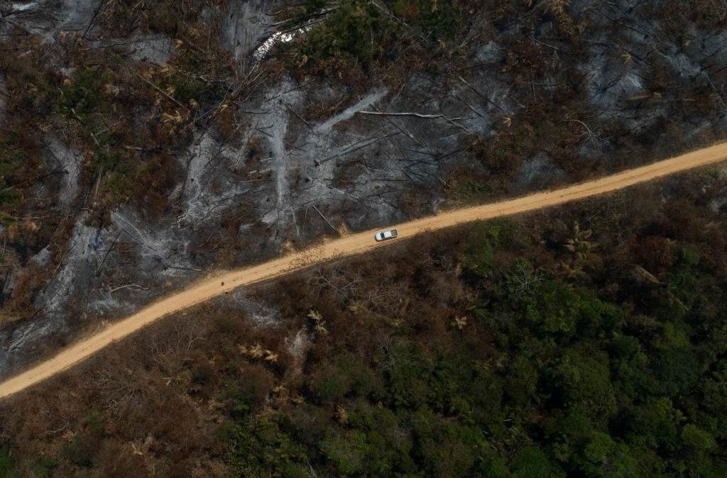 Pará registra em março queda de 59% nos alertas de desmatamento