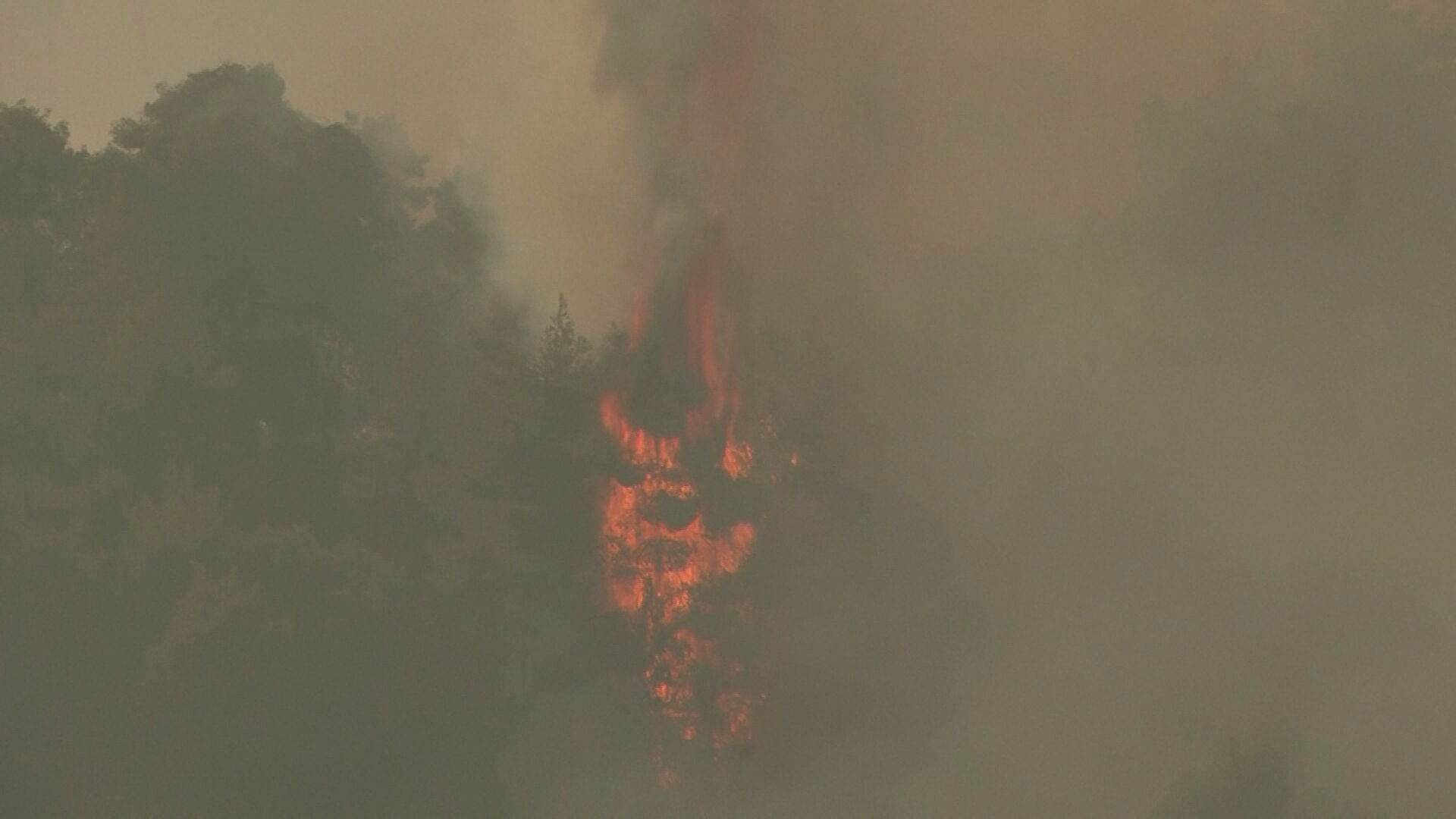 Ilha grega é esvaziada às pressas por causa de incêndio (08.Ago.2021)