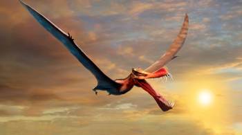 Fóssil de pterossauro com envergadura de asas de quase 7 metros é a descoberta mais próxima de um dragão da vida real, dizem cientistas