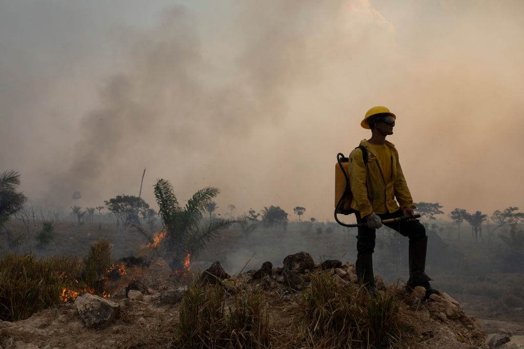 Funcionário do Ibama combate o fogo na Amazônia em Novo Progresso (PA)