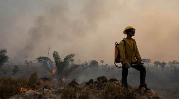 De acordo com dados do Programa Queimadas, do Instituto Nacional de Pesquisas Espaciais (INPE), a Amazônia já registrou 41.136 focos de incêndio em 2021