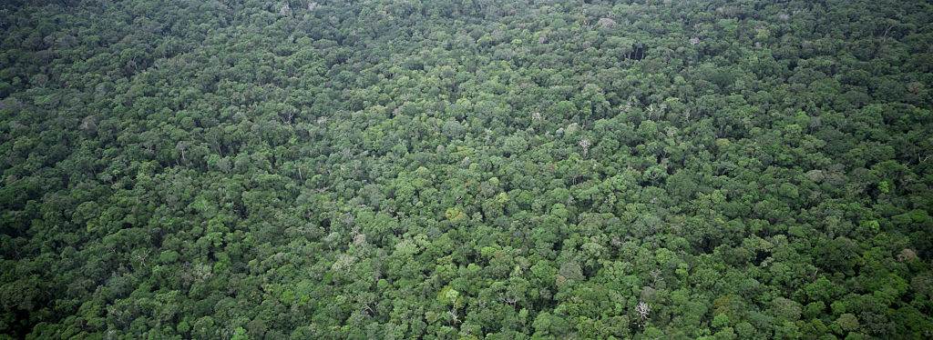 Amazônia