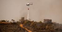 Bombeiros ainda combatem incêndio no Parque Estadual do Juquery, na Grande SP