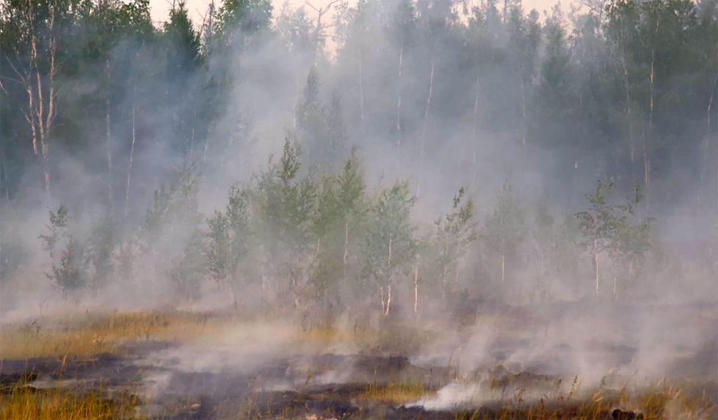 Fogo silvestre na região de Yakutia, na Sibéria, conhecida como um dos lugares mais frios do mundo - 13 de agosto de 2021