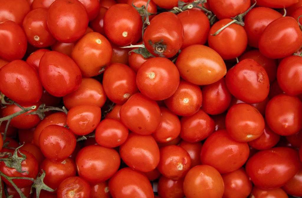 Sementes de tomate anãs serão lançadas à Estação Espacial a bordo da SpaceX