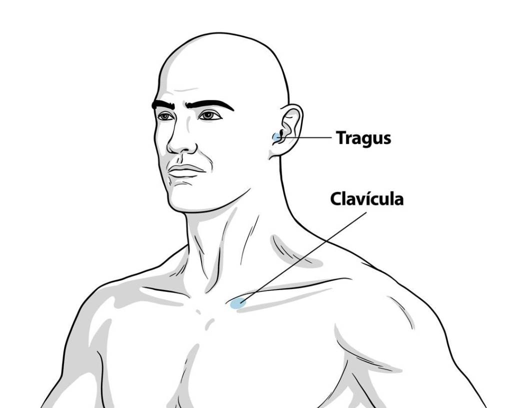 Ilustração região do tragus 