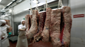 Medida foi anunciada pelo presidente Alberto Fernández para evitar uma alta no preço da carne