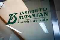 Ensaio de vacina da gripe do Butantan terá participação de bebês; entenda