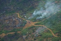 Entidades pedem que governo brasileiro aumente meta climática