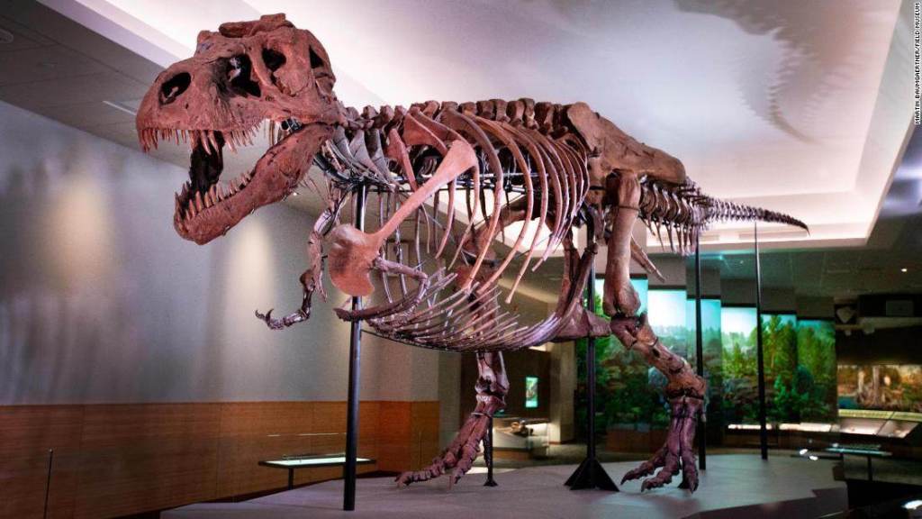 T-Rex pode ser ancestral das aves