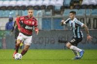 Grêmio vai à justiça para tentar barrar público em jogo contra o Flamengo