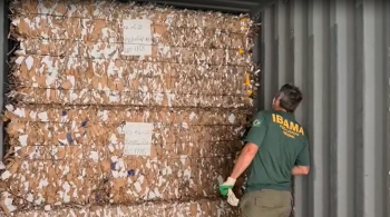 Cargas são provenientes dos Estados Unidos, República Dominicana e Honduras, e chegaram declaradas como material para reciclagem