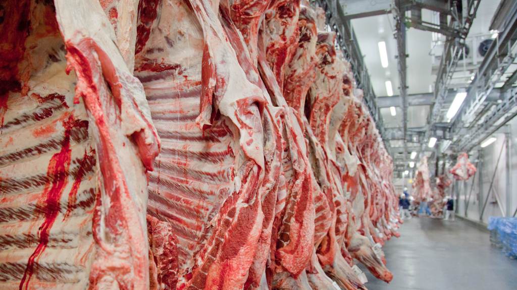 Carne bovina é processada em frigorífico brasileiro