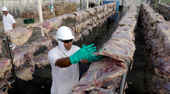 Importação da proteína dos estados de Mato Grosso e Minas Gerais só pode ocorrer se for de gado abatido com 30 meses ou menos