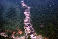 Amazônia Legal concentra mortes por conflitos no campo brasileiro