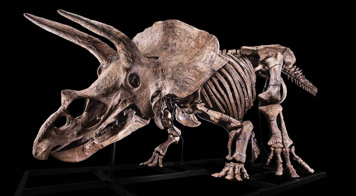 O esqueleto foi encontrado na Dakota do Sul, nos Estados Unidos